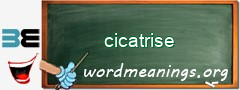 WordMeaning blackboard for cicatrise